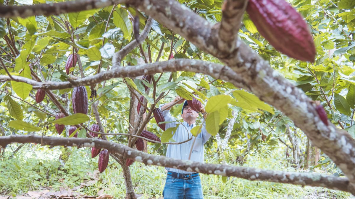 Igac frena alzas descontroladas del predial rural: no puede subir más del 50%