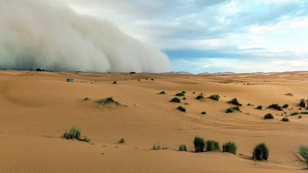 Polvo del Sahara llega al Caribe colombiano: recomendaciones para proteger tu salud