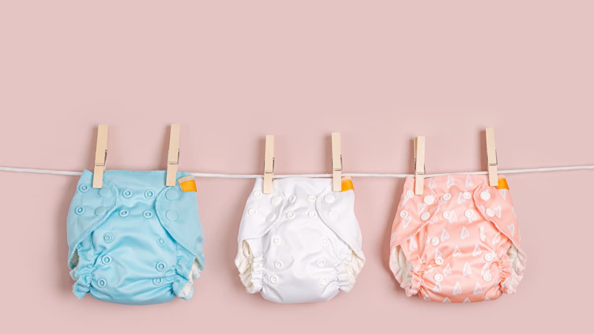 Del alga marina al pañal: la UE desarrolla superabsorbentes biológicos para reemplazar derivados del petróleo