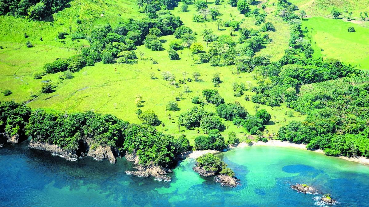 Colombia expande santuario marino en frontera con Panamá para proteger tortugas y manglares del Caribe