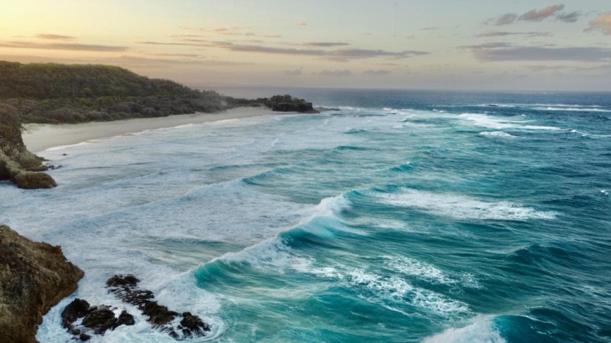 El océano como inversión: por qué los negocios deben apostar por la economía azul