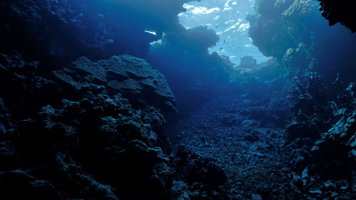 El océano finalmente cobra relevancia en la lucha global contra el cambio climático