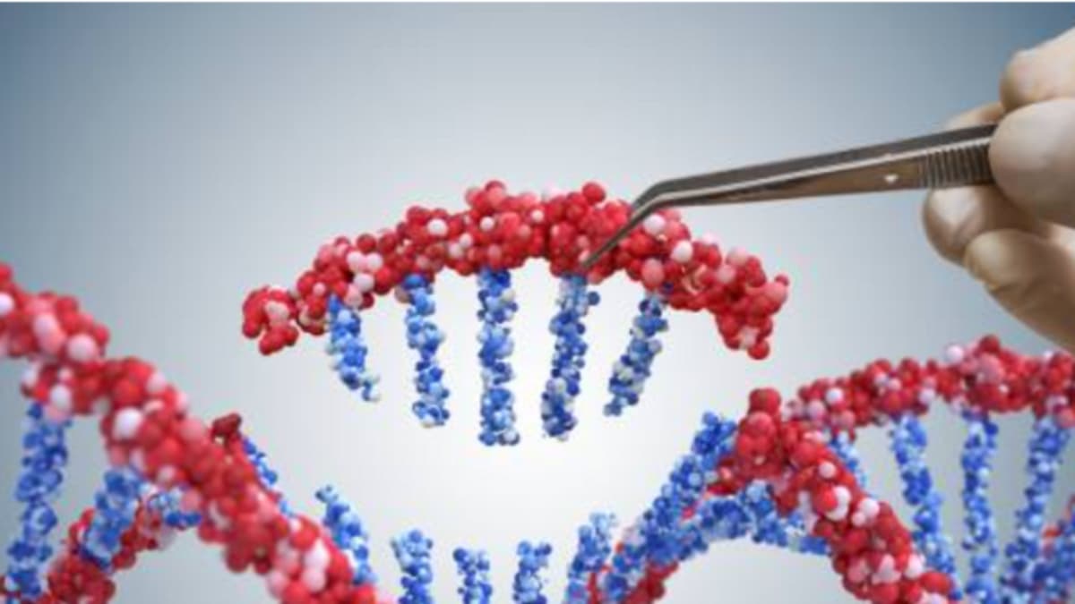 Poblaciones andinas desarrollaron adaptación genética para tolerar arsénico en el agua