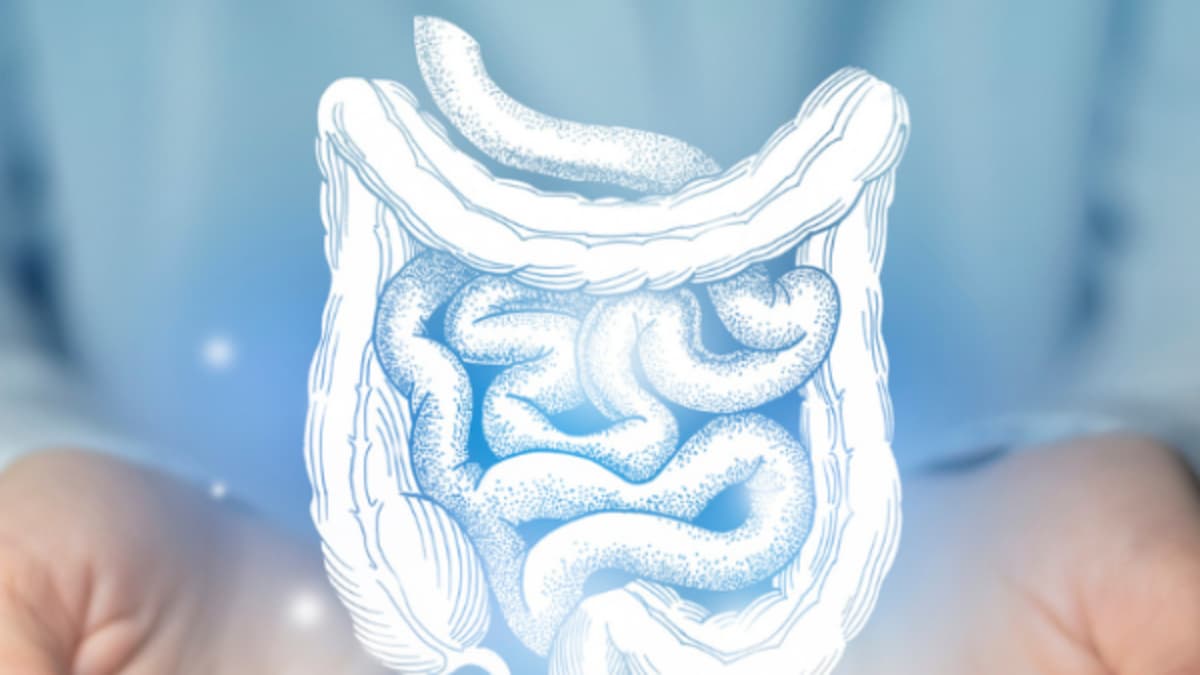 Vitamina D muestra potencial para reducir inflamación en enfermedades intestinales crónicas