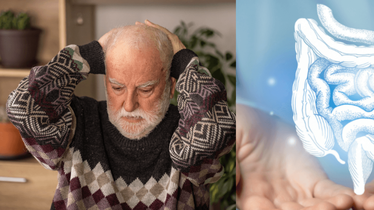 Detectan cambios en bacterias intestinales que anticiparían la demencia años antes