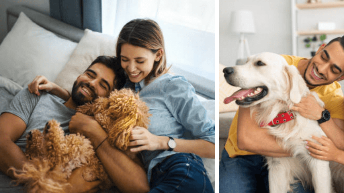 Registro obligatorio de mascotas: multas de hasta 523 mil pesos para dueños que incumplan