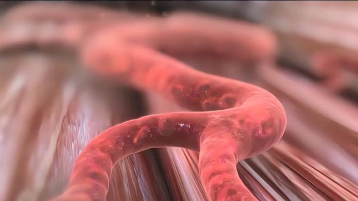 Japón aprueba primeros tratamientos con células reprogramadas para el corazón y Parkinson