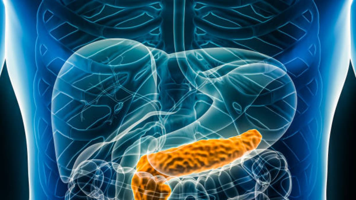 Investigadores crean páncreas electrónico que podría revolucionar el tratamiento de la diabetes