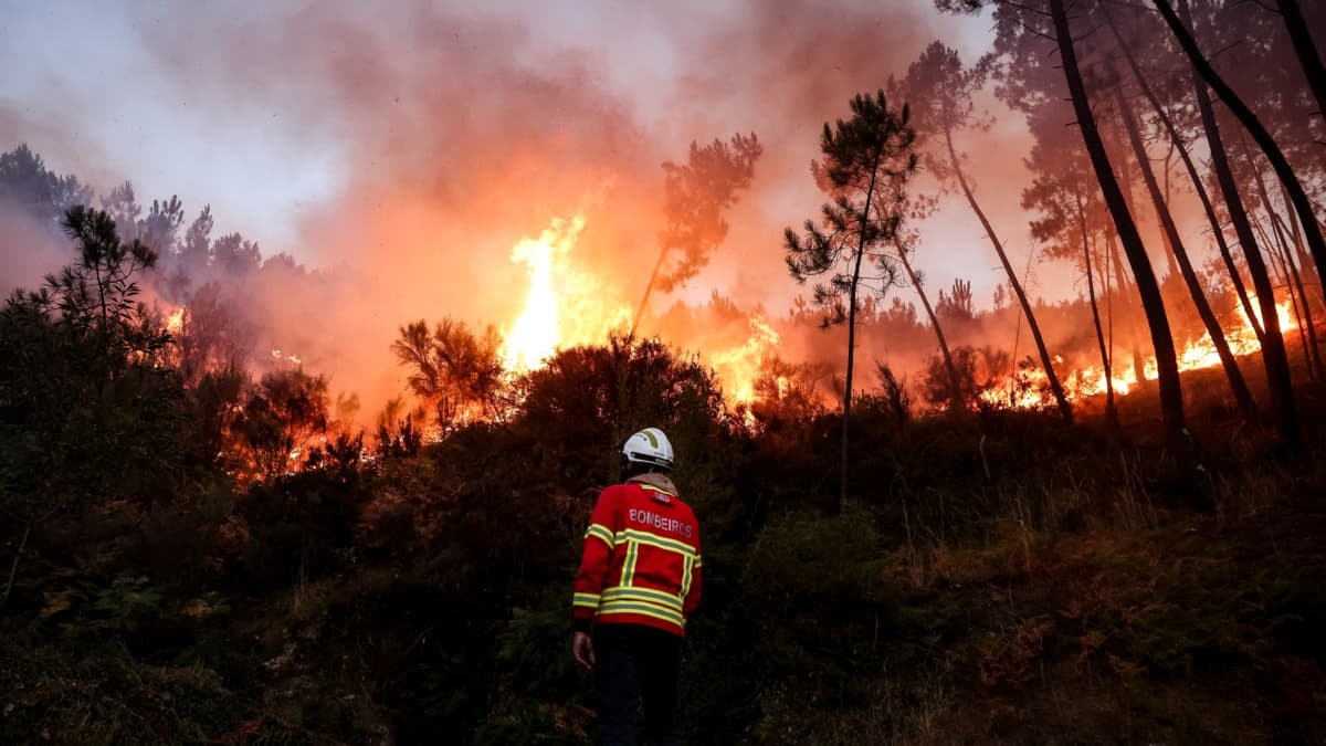 Europa vivió su año más extremo: 2025 marcó récords de calor, sequía e incendios sin precedentes