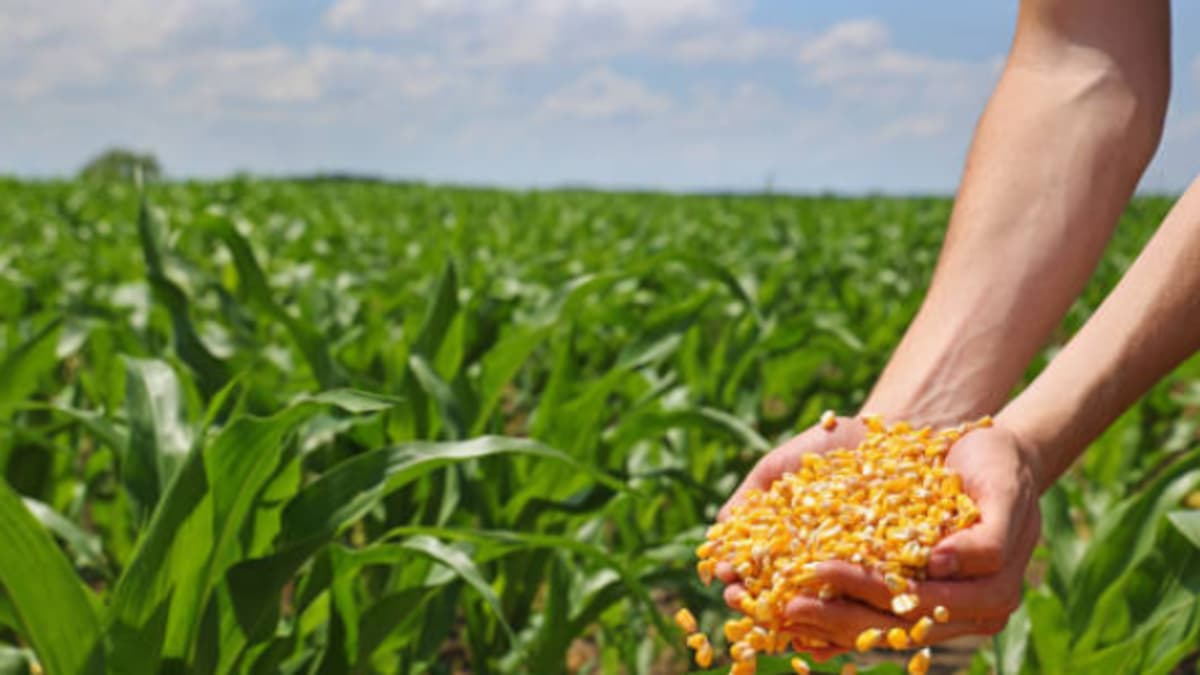Latinoamérica se reúne en Cartagena para enfrentar el hambre y la desnutrición regional