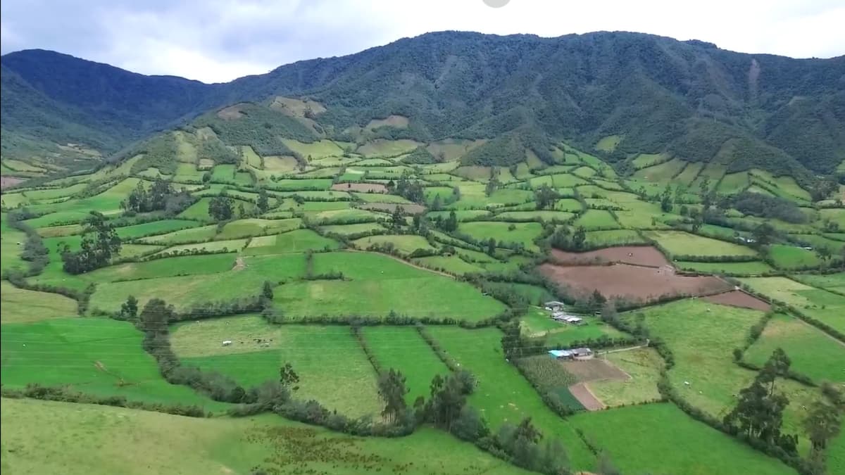 Colombia protege 140 mil hectáreas de tierra fértil para que no se conviertan en ciudades