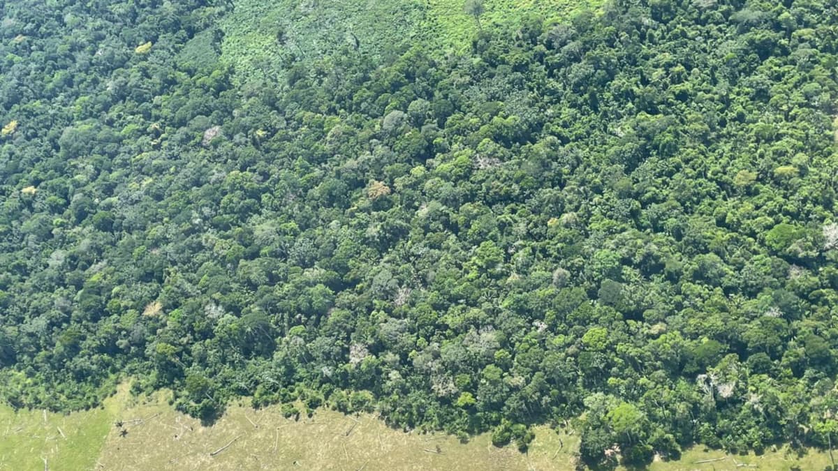 Colombia alberga cinco de las siete ecorregiones más amenazadas de América tropical, advierte estudio
