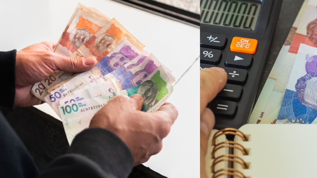 Independientes que superan 174 millones en ingresos quedarán obligados a cobrar IVA en 2026
