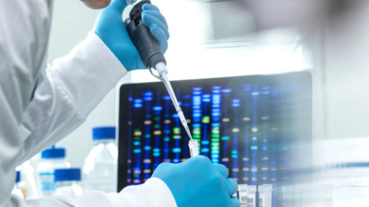 Estudiantes crean herramienta con inteligencia artificial para detectar microalgas automáticamente