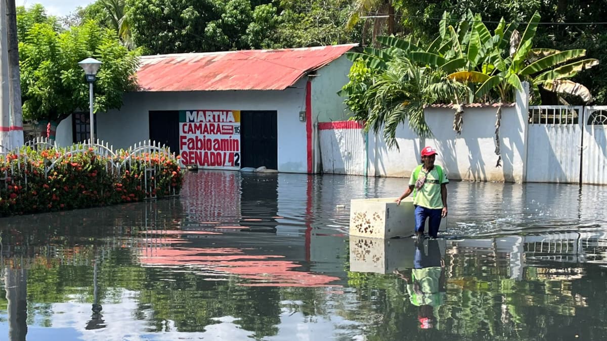 Córdoba ahogada: cómo la ganadería y los diques ilegales convirtieron una lluvia en catástrofe
