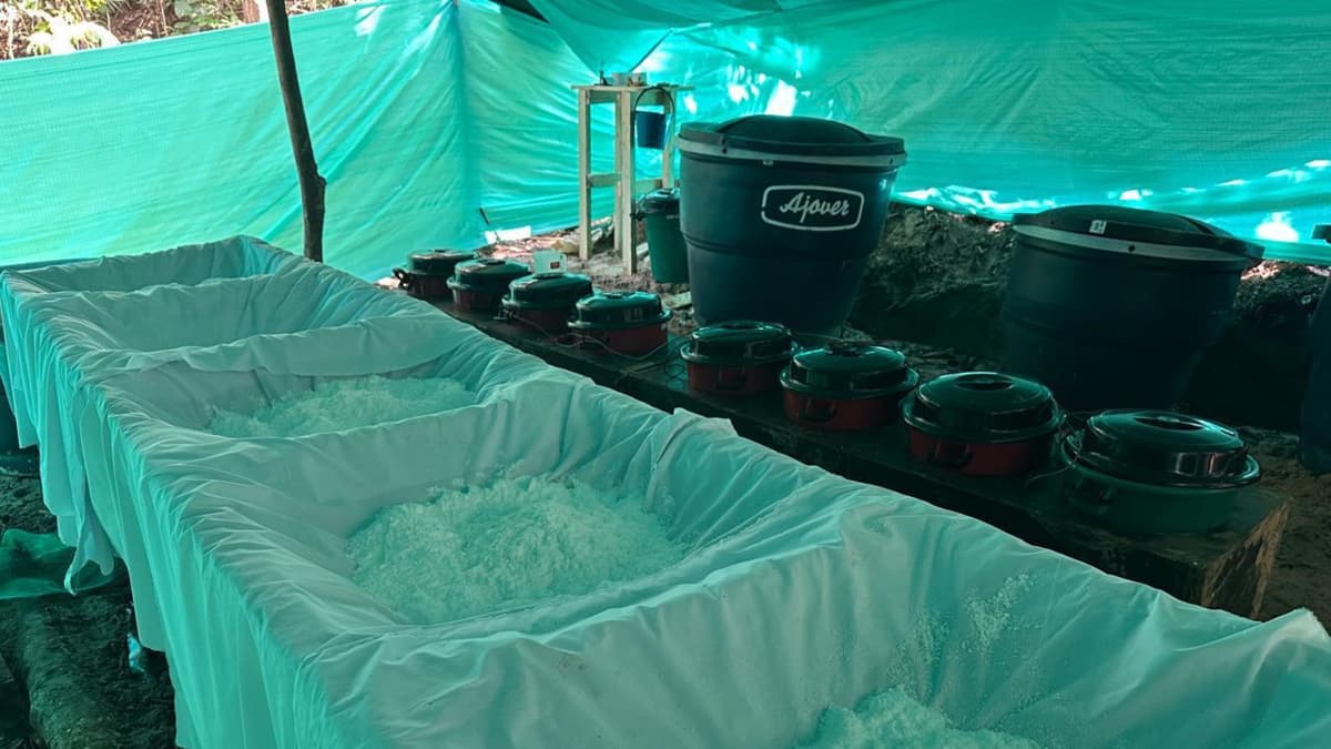 Ejército destruye megalaboratorio del Clan del Golfo en Santander con más de mil kilos de cocaína