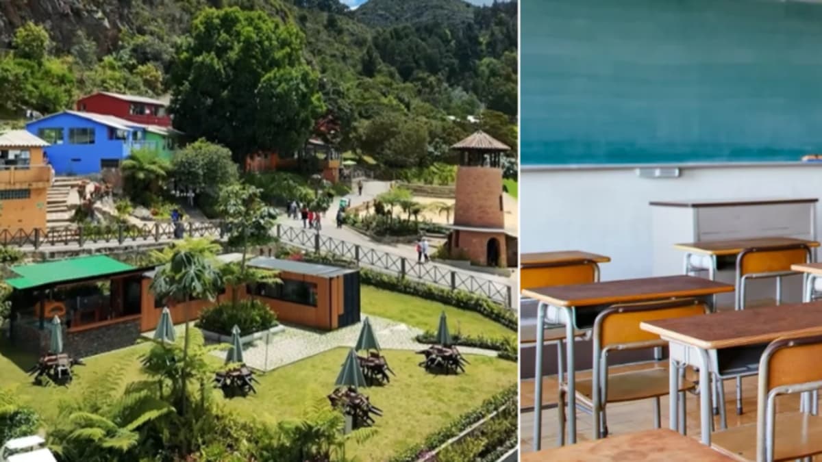 Colegio Refous se somete a reorganización empresarial: "La pandemia nos obligó", dice su representante legal