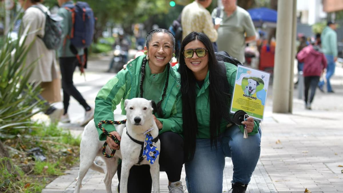 Este domingo en la Biblioteca Virgilio Barco: jornada de adopción con música, yoga y libros gratis