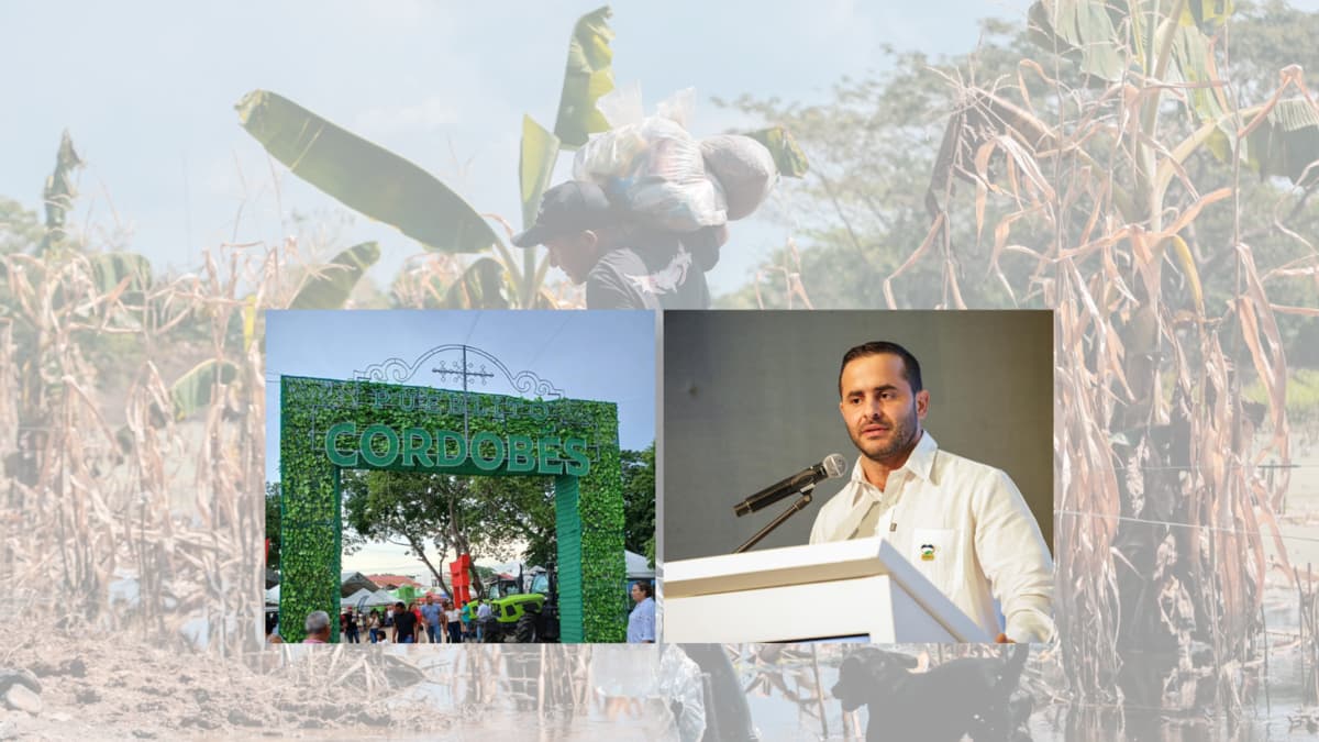 Córdoba mantiene su Feria Ganadera pese a inundaciones que afectan a 200.000 personas