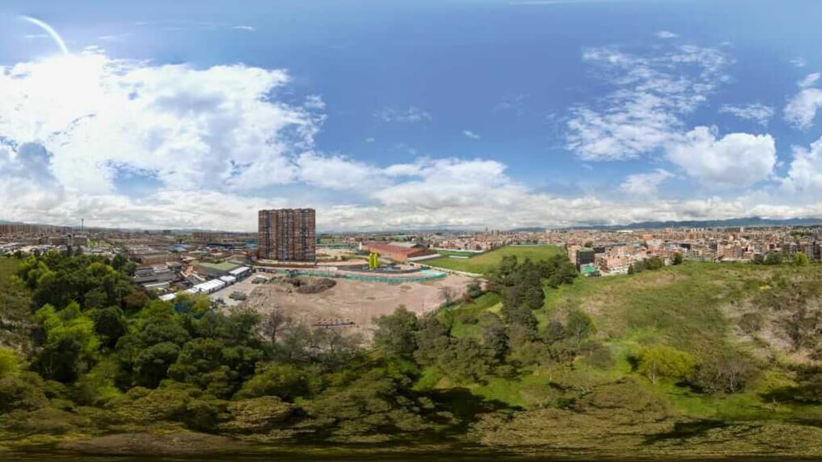 Bogotá reemplaza árboles invasores por especies nativas en sus humedales