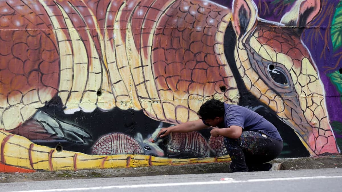 Con aerosol y corazón: 'Bacho' pintó 83 metros de naturaleza vallecaucana en la vía Cali-Buenaventura