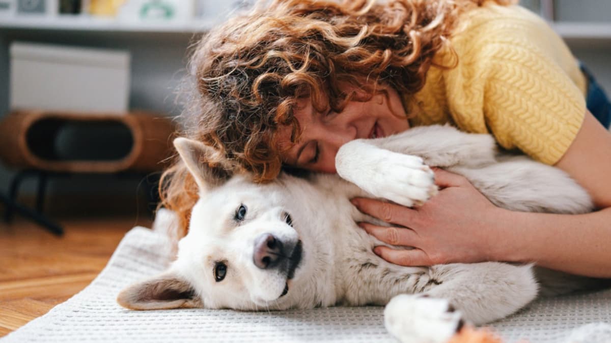 Olvida el mito de los siete años: así se calcula realmente la edad de tu perro