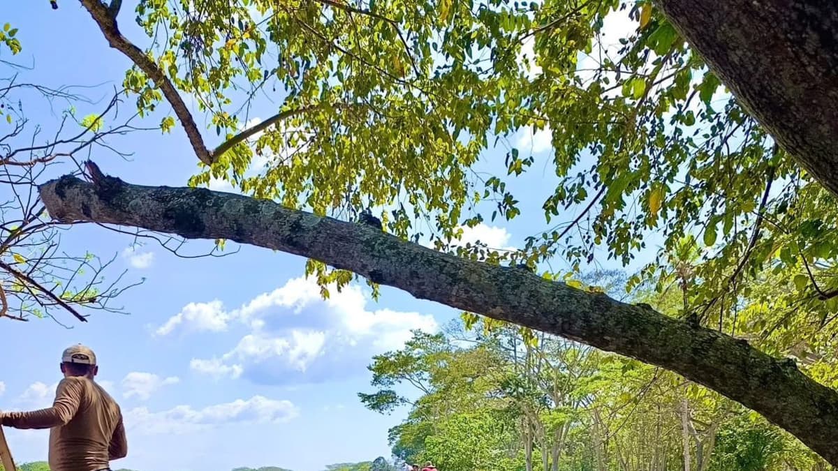 Córdoba enfrenta crisis por boquetes en el río Sinú: cientos de niños sin clases