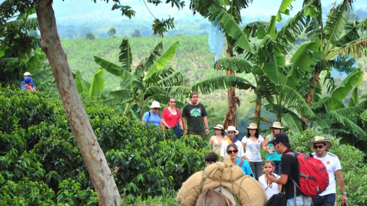 Quindío apuesta por crecer en turismo internacional con campaña "No me creas, vívelo"