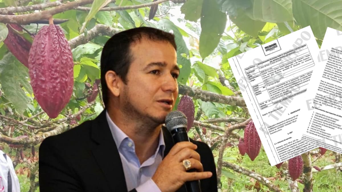 Procuraduría acusa a exgobernador del Guaviare por proyecto cacaotero que fracasó: 64 % de beneficiarios lo abandonó
