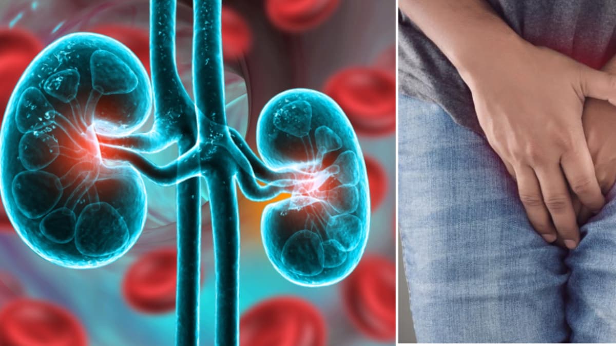 Espuma en la orina: cuándo es normal y cuándo debe preocuparte tu salud renal