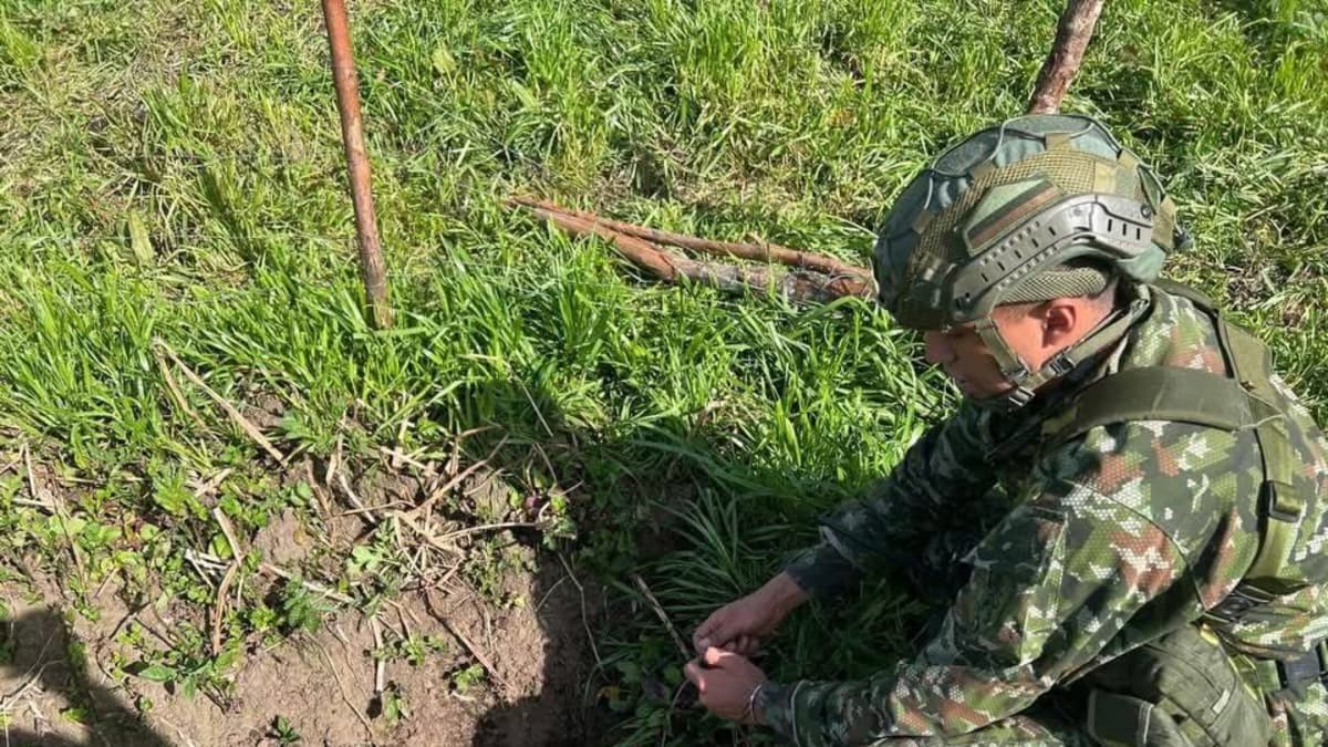 Ejército destruye cinco explosivos del Eln en Totoró, Cauca, e impide ataque terrorista
