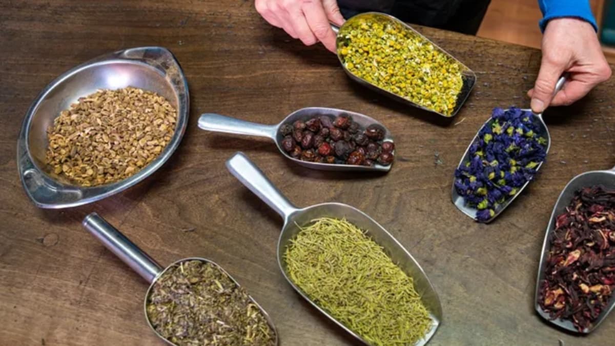 Plantas medicinales en riesgo: la demanda global crece pero la oferta se agota