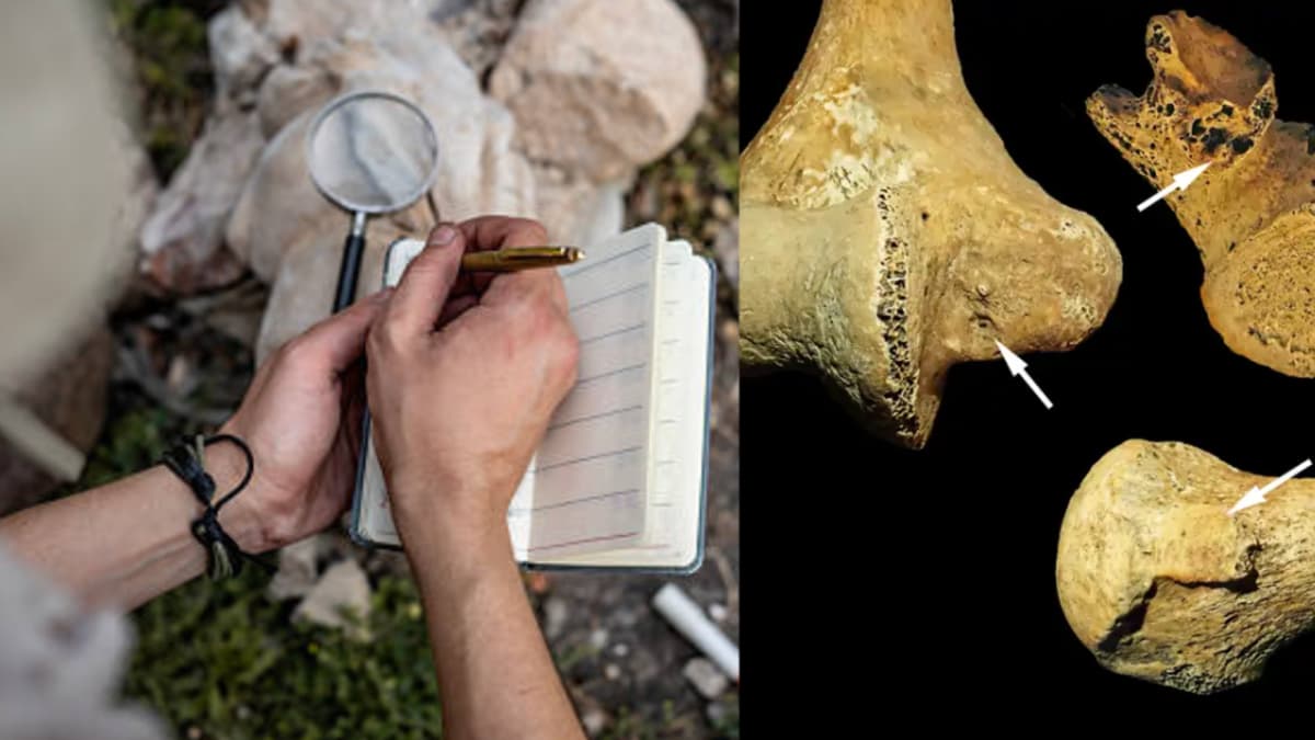 Descubrimiento arqueológico revela que hace 7.000 años los roles de género eran más flexibles