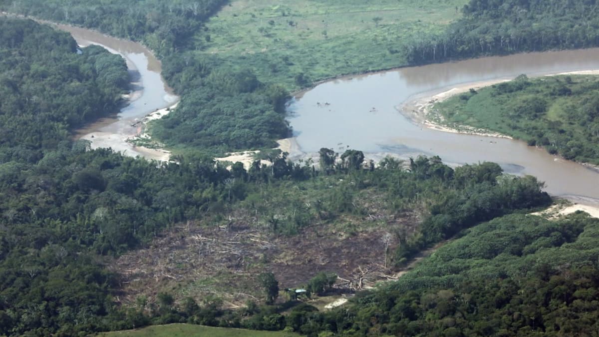 La Amazonía colombiana, en crisis: 8.000 km de vías ilegales aceleran la deforestación
