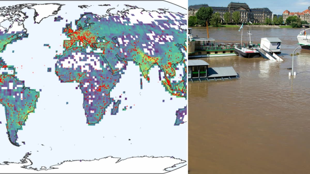 Google crea Groundsource: una IA que predice inundaciones hasta 24 horas antes