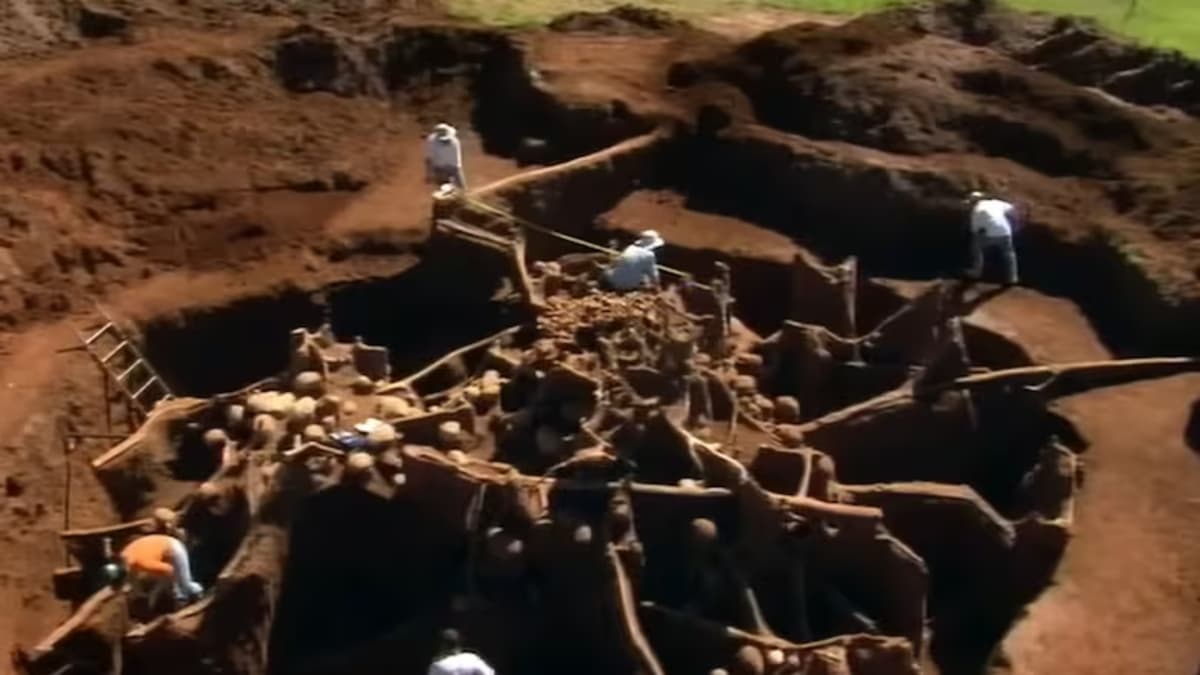 Revelan la ingeniería subterránea de un gigantesco hormiguero: 50 metros cuadrados bajo tierra