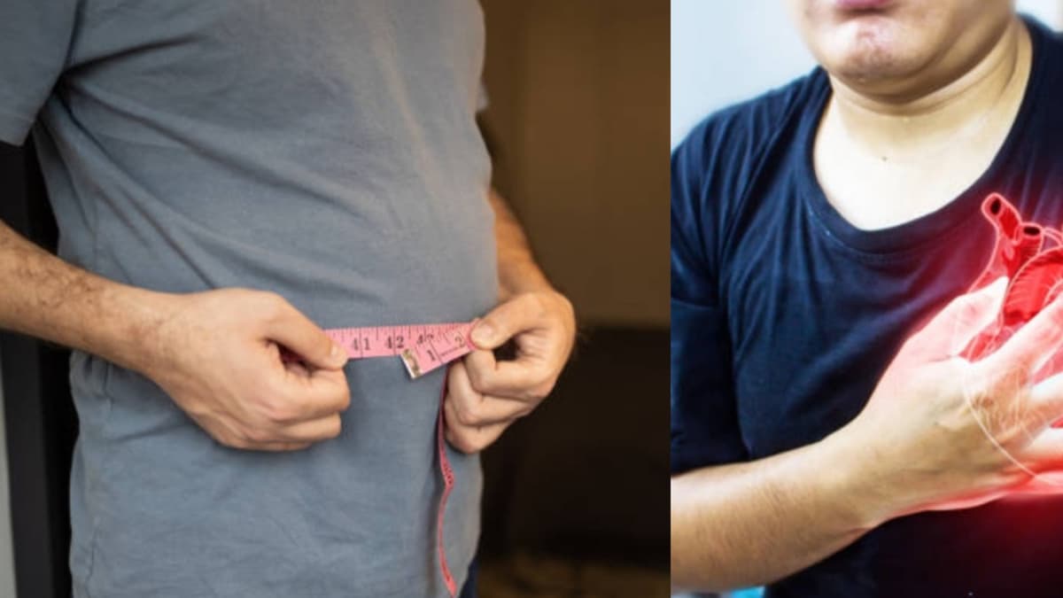 La grasa en el vientre es mejor indicador de riesgo cardíaco que el peso total