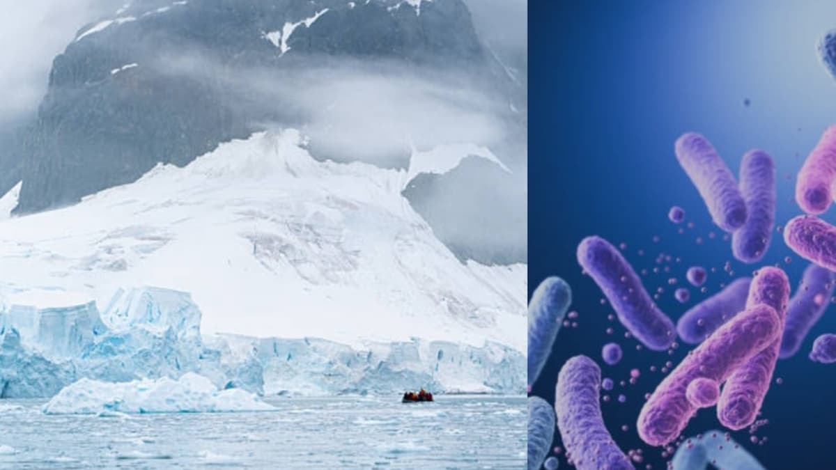 Microbios antárticos desafían el frío extremo usando aire como energía