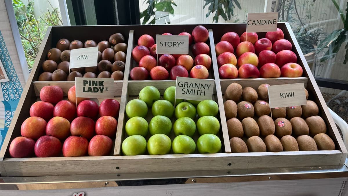 Francia apunta a Colombia en 2026: Interfel amplía su estrategia de manzanas europeas en el mercado local