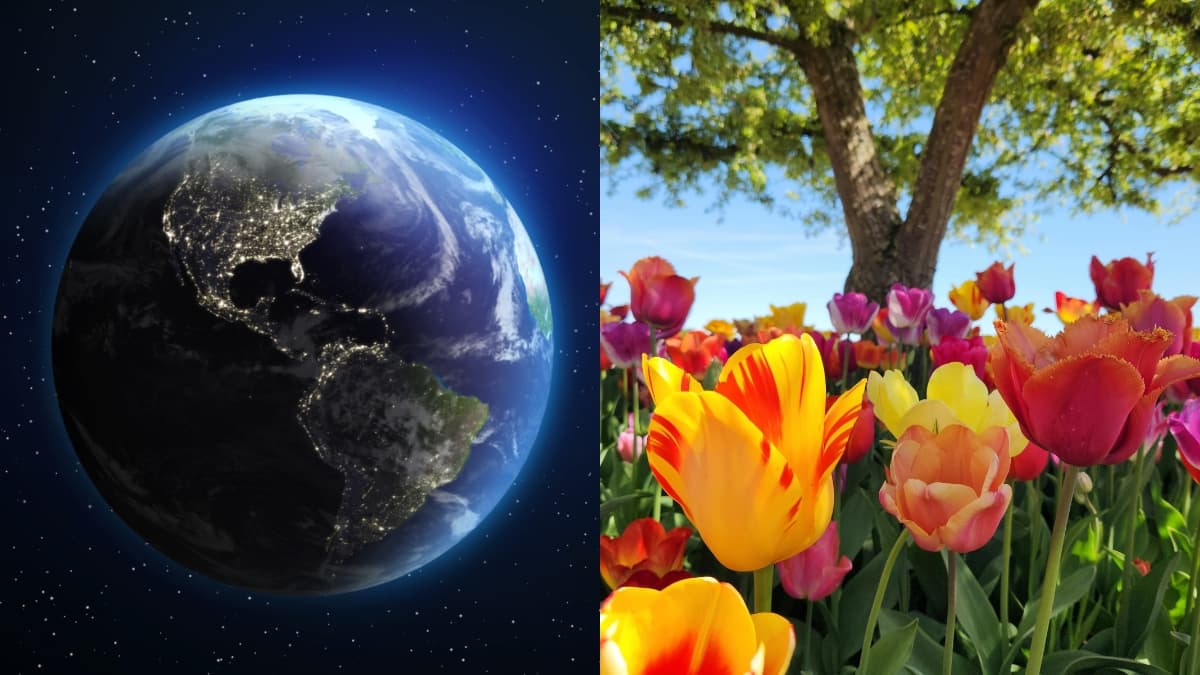 Equinoccio de primavera 2026: el día y la noche se equilibran este viernes en Colombia