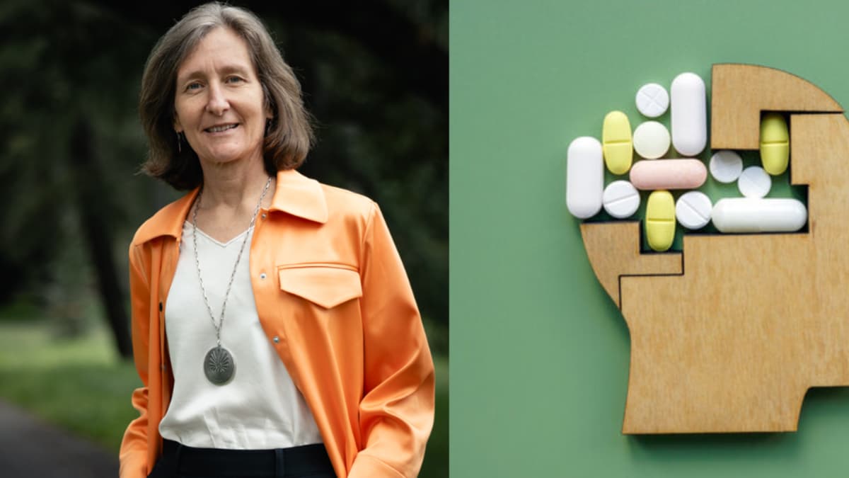 Por qué nuestro cerebro es vulnerable a las adicciones en tiempos de abundancia