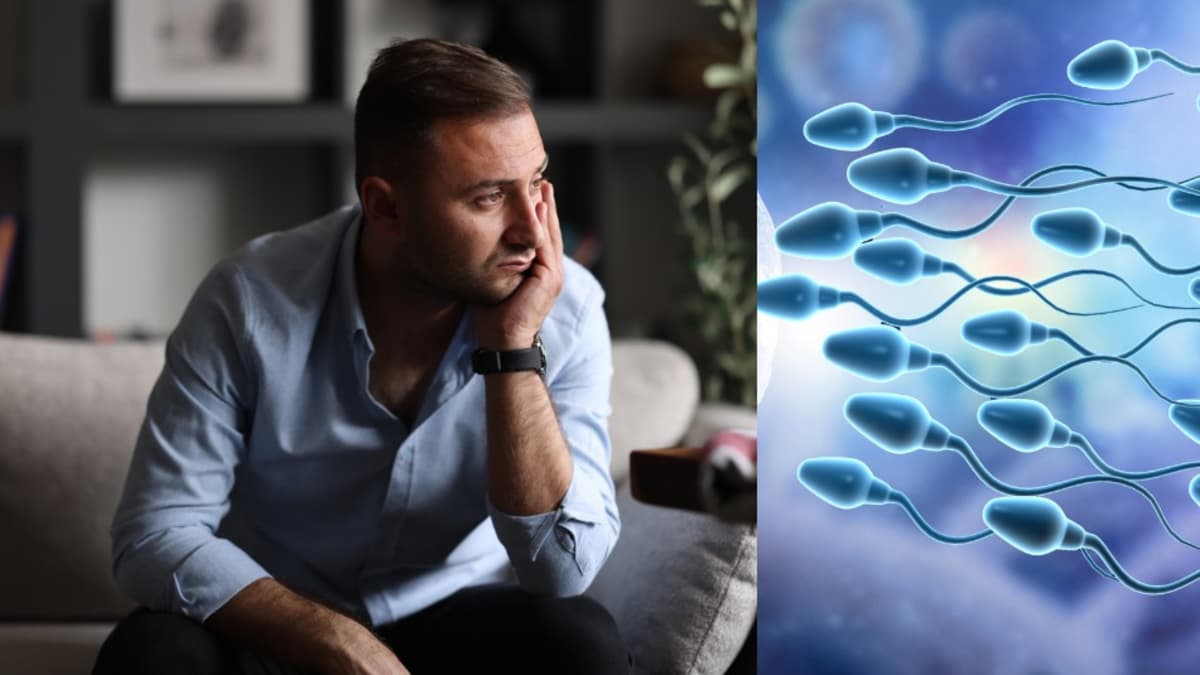 La abstinencia prolongada deteriora la calidad del esperma, según estudio internacional