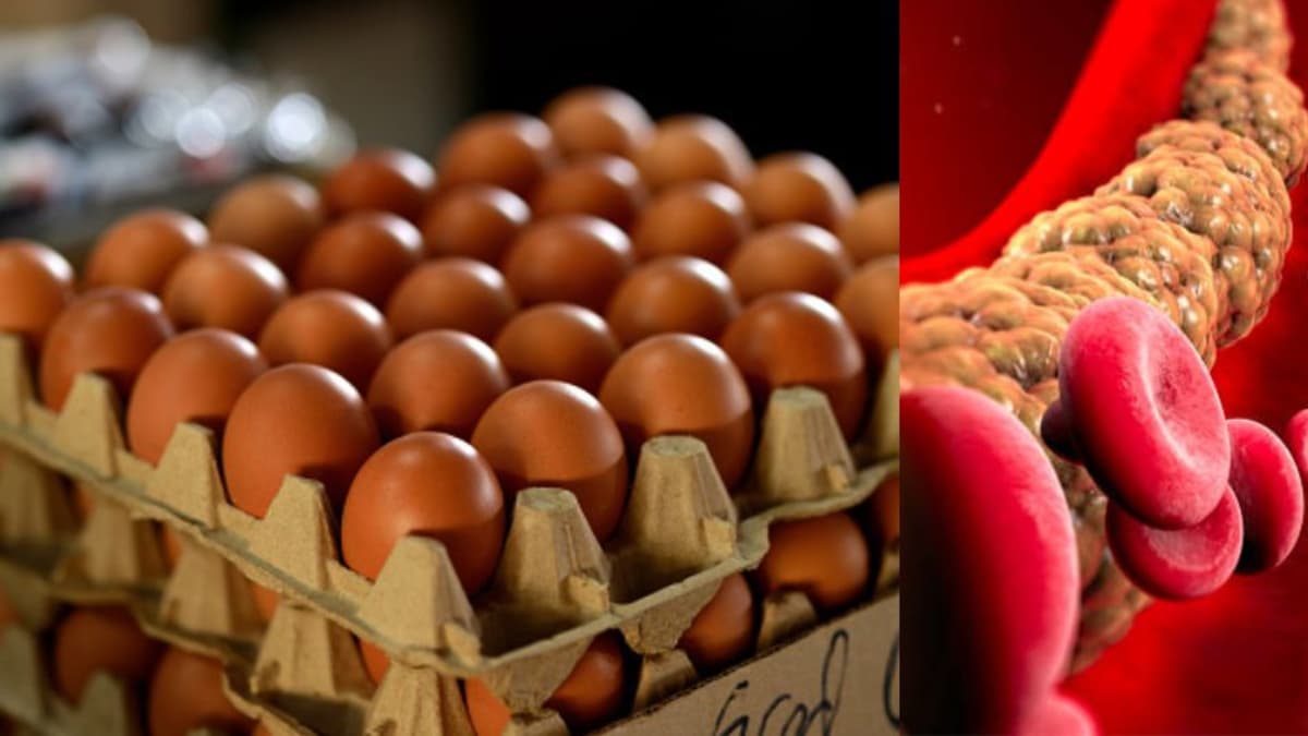 Los huevos no suben el colesterol: qué dice la ciencia sobre este alimento controversial
