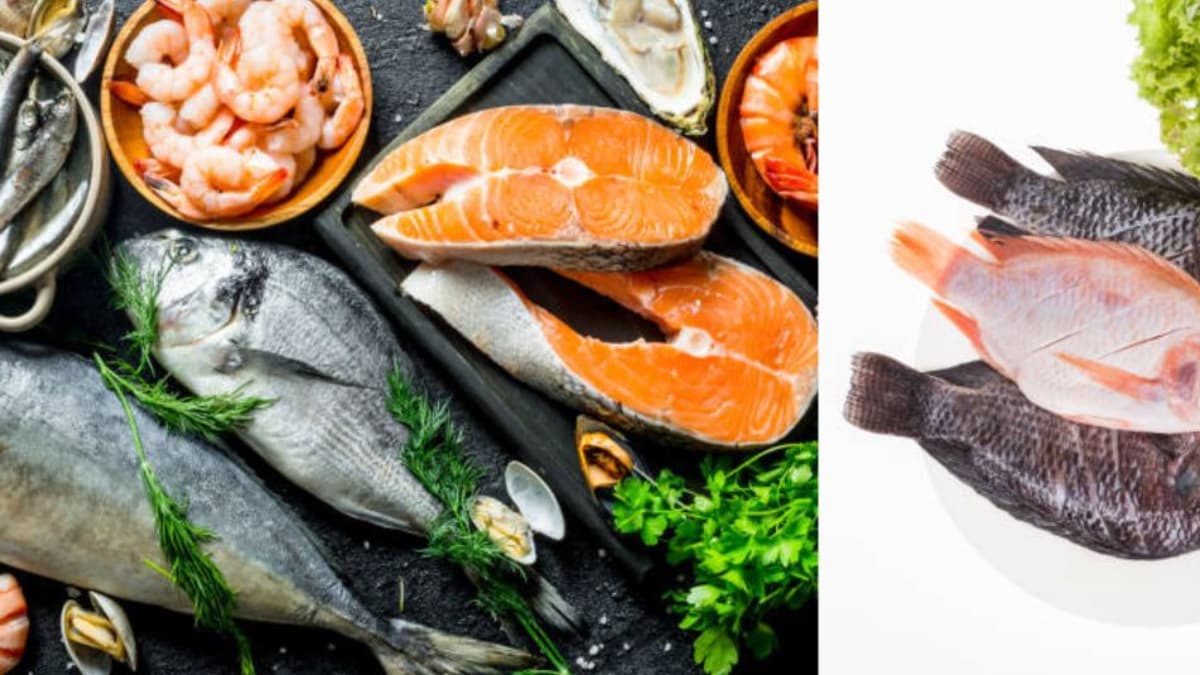 Pescados y mariscos suben de precio en Semana Santa: así están cotizados en Corabastos hoy