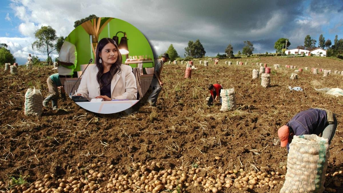 Gobierno plantea inversión de 18 billones para reforma agraria integral: tierra, agua, crédito y protección climática