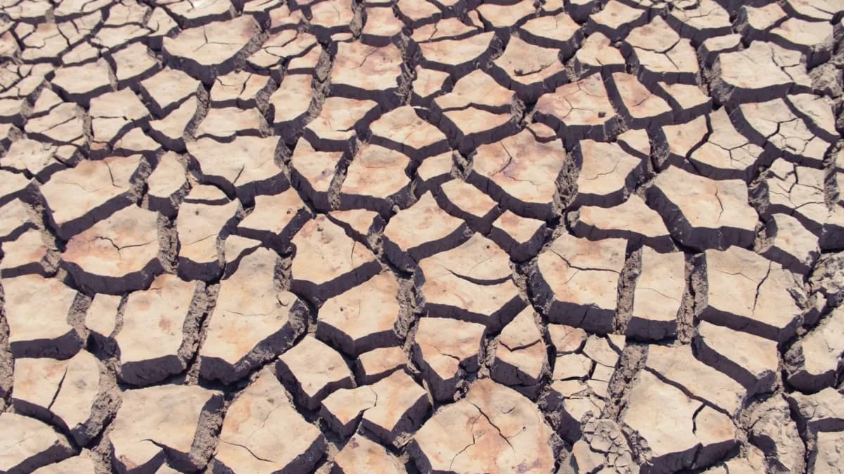 NOAA confirma el inicio de El Niño y advierte que podría ser histórico en intensidad