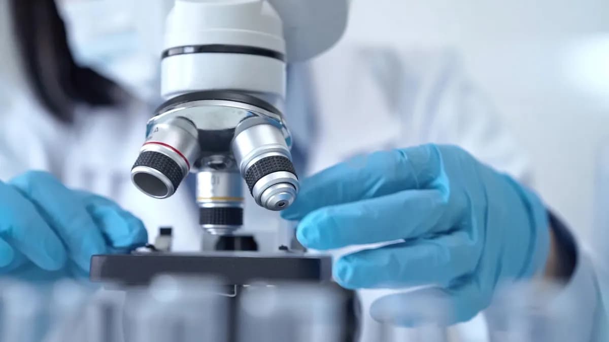 Crean terapia experimental que elimina el cáncer de riñón más agresivo en pacientes sin opciones
