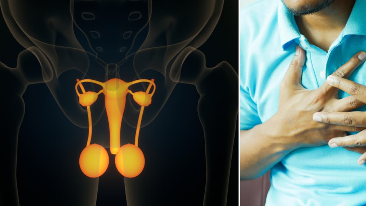 Disfunción eréctil después de los 45: la alerta cardiovascular que muchos hombres ignoran