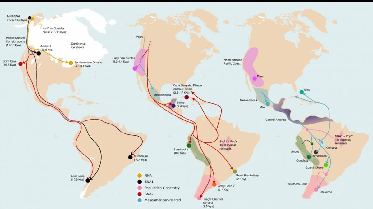 Descubren más de un millón de variantes genéticas nuevas en pueblos indígenas de América