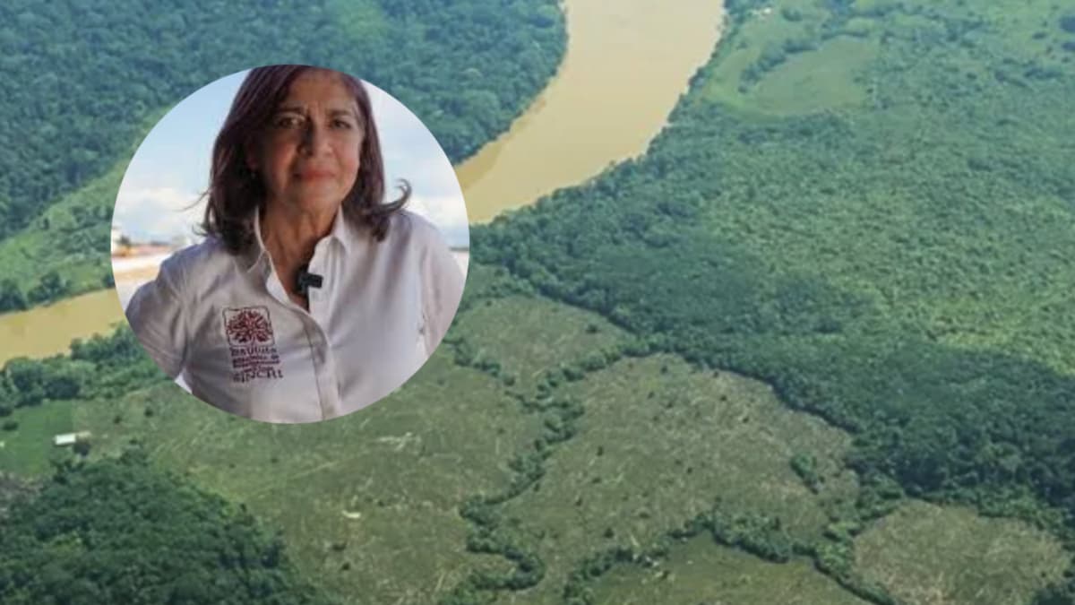Combustibles fósiles amenazan la Amazonia y el clima global, advierte directora del Instituto Sinchi